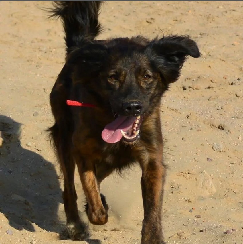 Dürfen wir vorstellen?