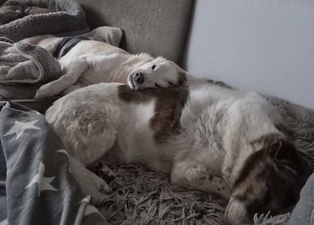 Wie ein altes Ehepaar: Pipo &&nbsp;Martha